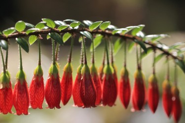 珠海金湾区7私人快速借钱网，轻松解决资金难题