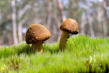 珠海金湾区7私人老板放款：轻松融资的秘密通道